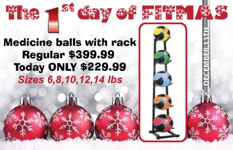 The 1st Day of Fitmas