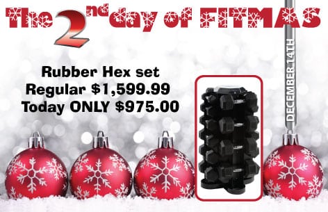 The 2nd Day of Fitmas