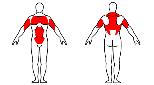 Muscle groups affected by kettlebell push-up with row Muscle groups affected by kettlebell push-up with row