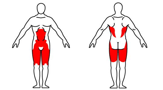 Muscle groups affected by the kettlebell one-leg deadlift exercise Muscle groups affected by the kettlebell one-leg deadlift exercise