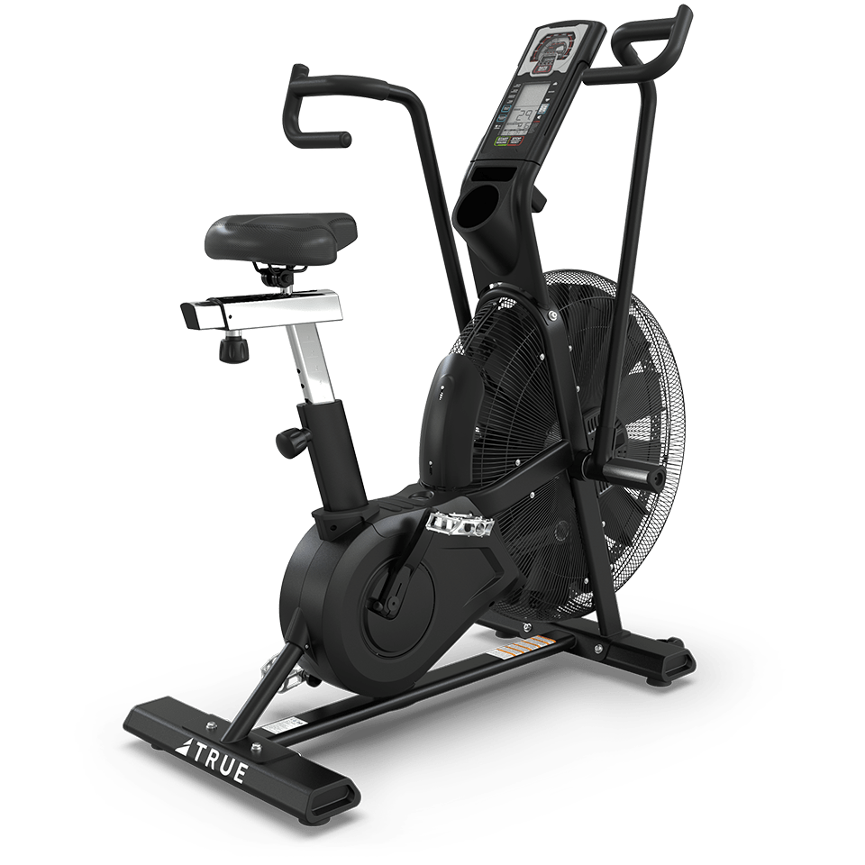 TRUE ADX Air Bike