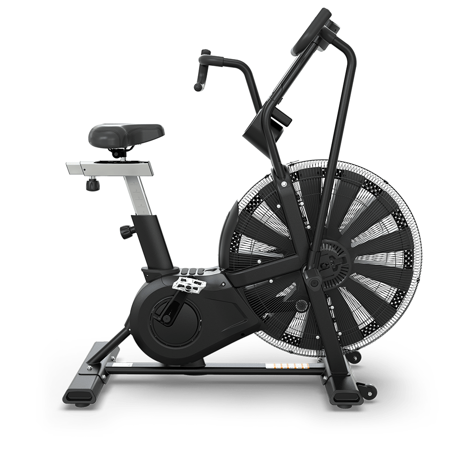 TRUE ADX Air Bike
