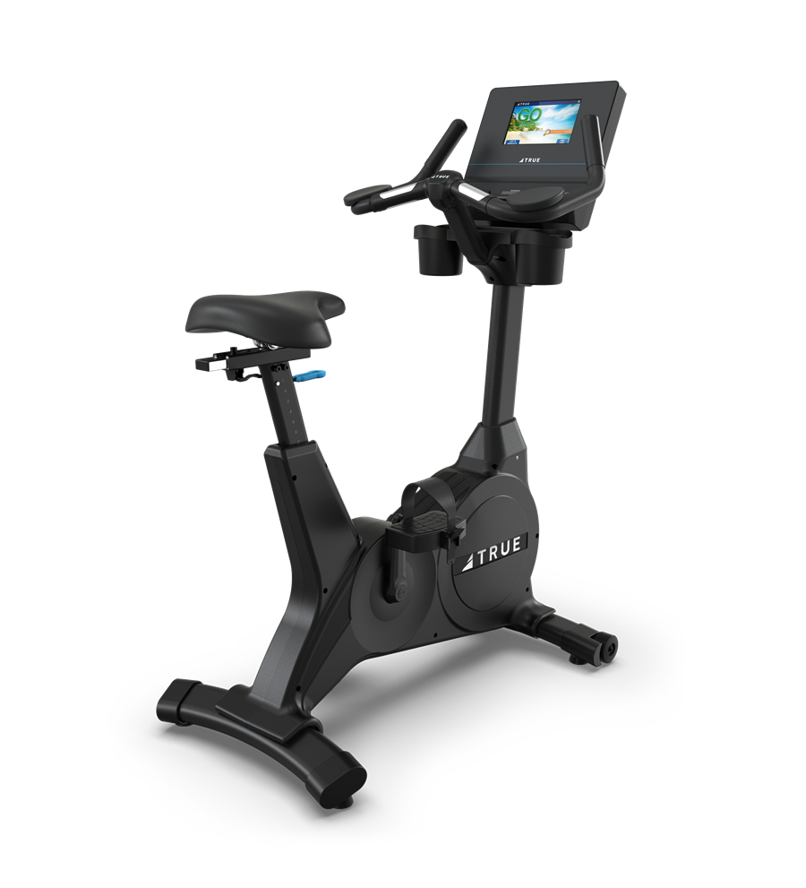 TRUE Performance Series Recumbent Bike w/ 9? Touchscreen